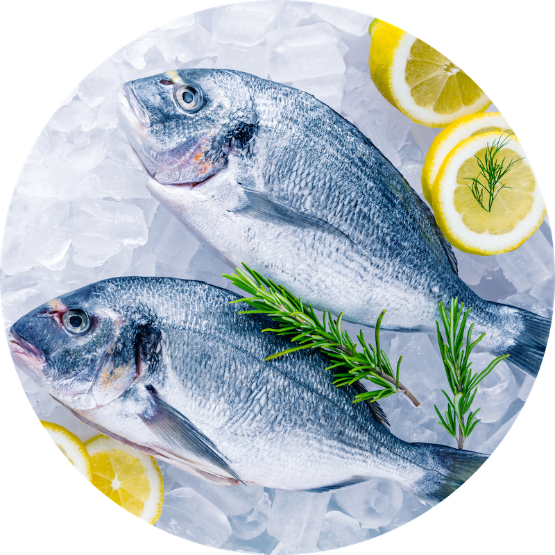 Poissons d'élevage